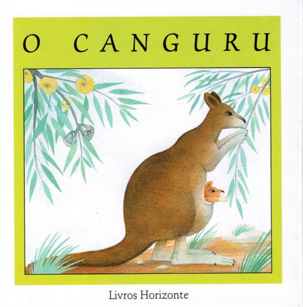 Canguro
