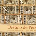 Destino de Peixe
